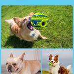 Durable Dog Toy Ball