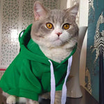 Soft Warm Pet Hoodie for Halloween & Autumn Cosplay