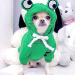 Soft Warm Pet Hoodie for Halloween & Autumn Cosplay