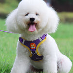 Reflective Dog & Cat Harness with Leash