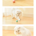Cat Gravity Intelligent Rolling Ball