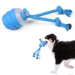 Electric Dog Toy Ball with Built-in Leash