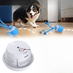 Electric Dog Toy Ball with Built-in Leash