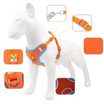 Reflective Dog & Cat Harness with Leash