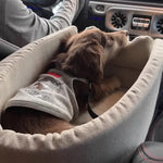 Portable Car Seat Bed for Small Dogs & Cats