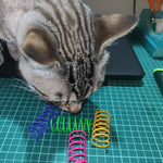 Durable Plastic Spiral Coils for Kittens