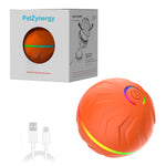Interactive Rubber Pet Toy for Active Play