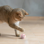 Interactive Smart Cat & Dog Toy