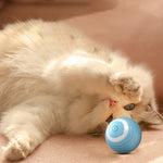 Interactive Smart Cat & Dog Toy
