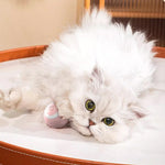 Interactive Smart Cat & Dog Toy