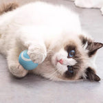 Interactive Smart Cat & Dog Toy