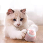Interactive Smart Cat & Dog Toy